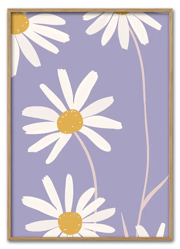 Daisy Up Close Massiv Eg