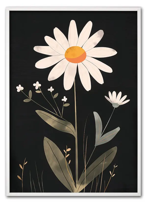 Daisy on Black Hvid