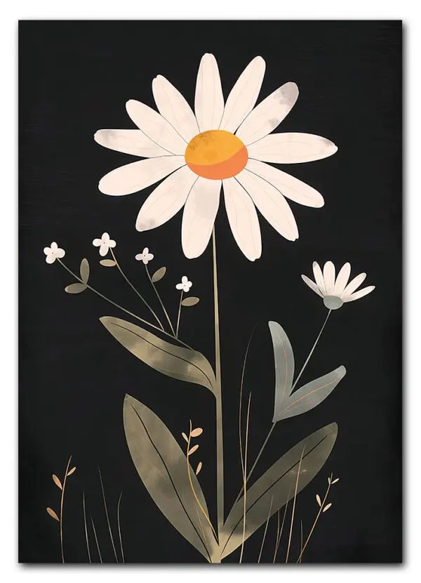 Daisy on Black Plakat