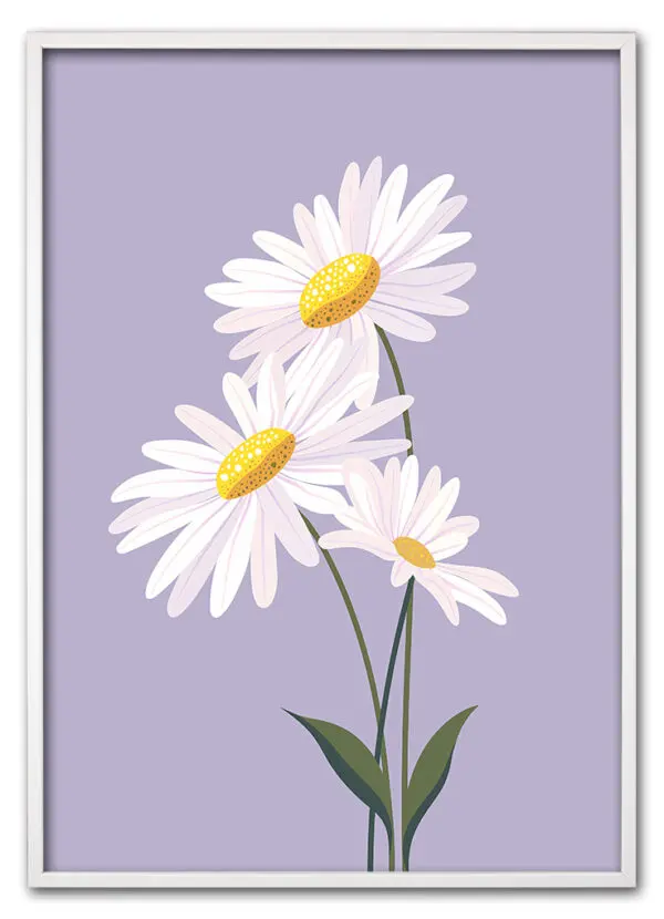 Daisy on Lilac Hvid