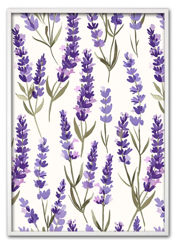 Lavender Rythm Hvid