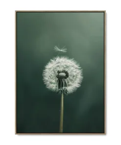 Galleri lærredsprint Dandelion Delight EGE svæveramme