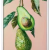 Wallpaper Avocado avocado produce fruit.