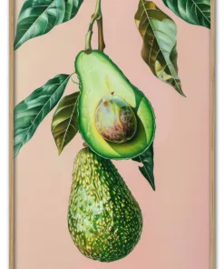 Wallpaper Avocado avocado produce fruit.