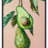 Wallpaper Avocado avocado produce fruit.