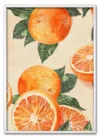 Wallpaper oranges grapefruit produce plant. Wallpaper oranges grapefruit produce plant.