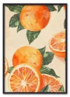Wallpaper oranges grapefruit produce plant. Wallpaper oranges grapefruit produce plant.
