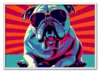 Bulldog Heatwave Hvid