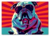Bulldog Heatwave Plakat