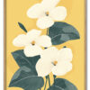 Butter Petals Massiv Eg