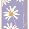 Daisy Up Close Eg