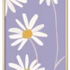 Daisy Up Close Eg