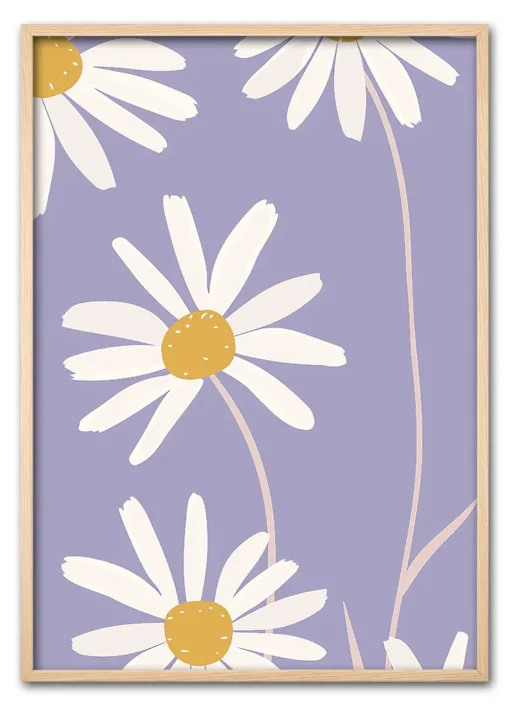 Daisy Up Close Eg