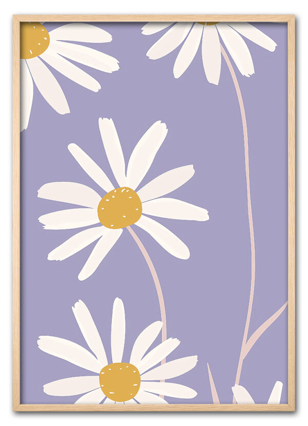 Daisy Up Close Eg
