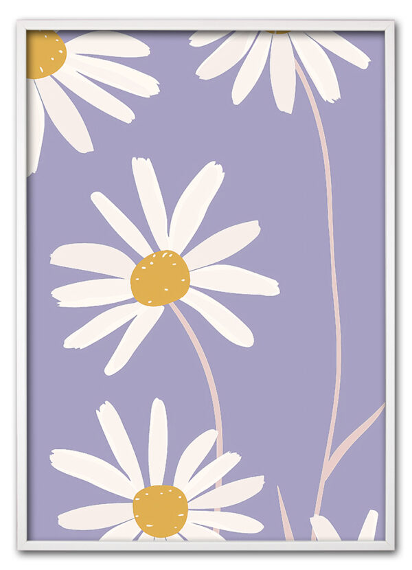 Daisy Up Close Hvid
