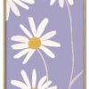 Daisy Up Close Massiv Eg