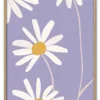 Daisy Up Close Massiv Eg