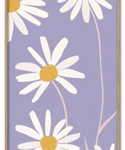Daisy Up Close Massiv Eg