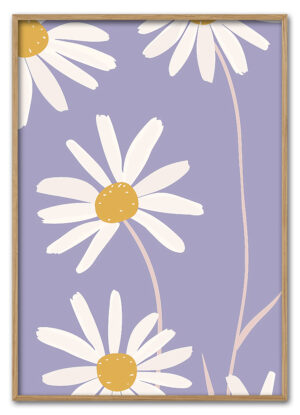 Daisy Up Close Massiv Eg