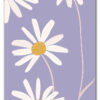 Daisy Up Close Plakat
