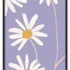 Daisy Up Close Sort