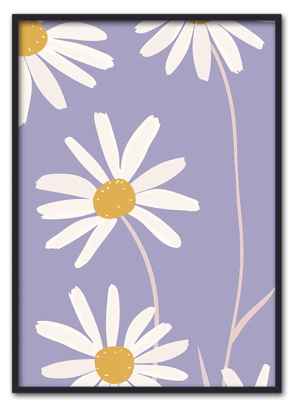Daisy Up Close Sort