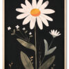 Daisy on Black Eg