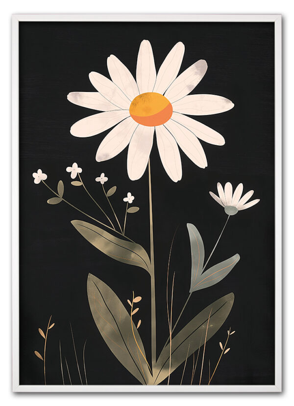 Daisy on Black Hvid