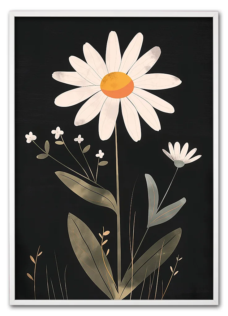 Daisy on Black Hvid Daisy on Black Hvid