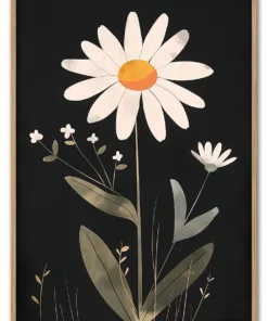 Daisy on Black Massiv Eg