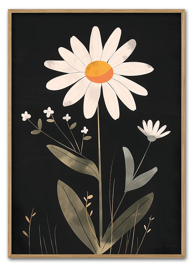 Daisy on Black Massiv Eg Daisy on Black Massiv Eg