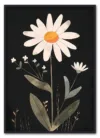 Daisy on Black Sort