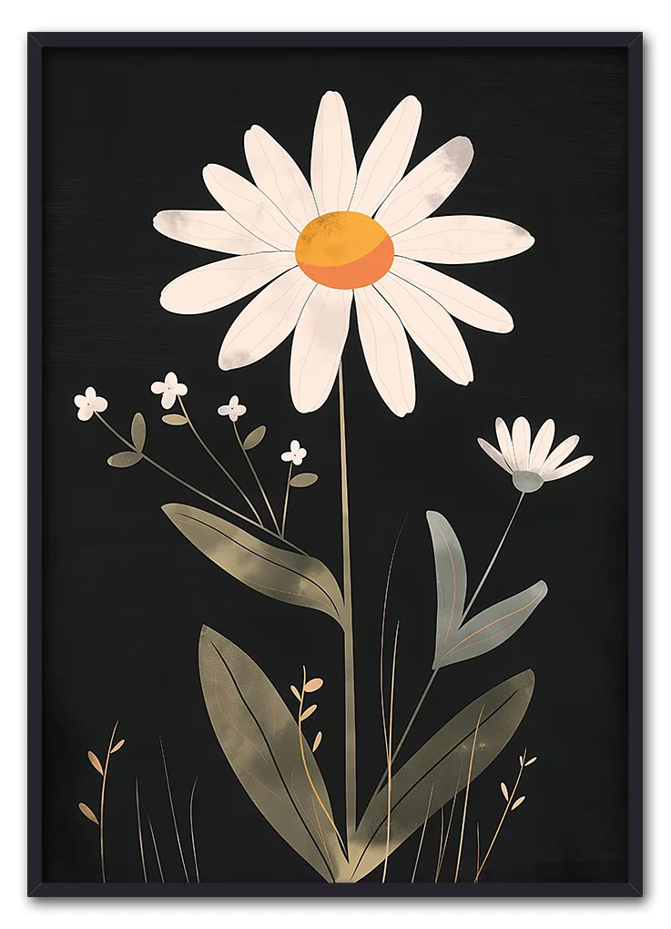 Daisy on Black Sort Daisy on Black Sort