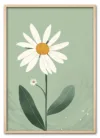 Daisy on Green Eg