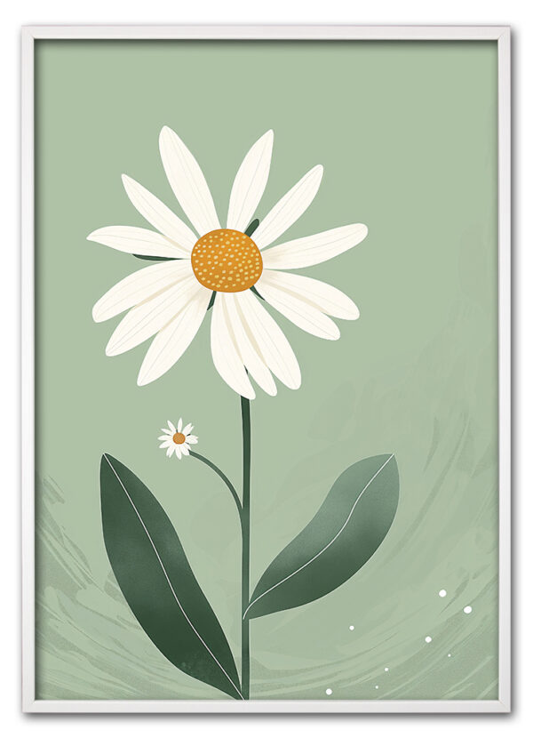 Daisy on Green Hvid