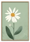 Daisy on Green Massiv Eg