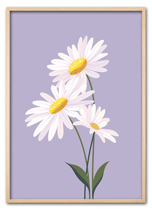 Daisy on Lilac Eg