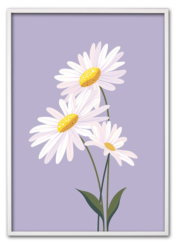 Daisy on Lilac Hvid