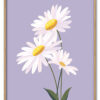 Daisy on Lilac Massiv Eg