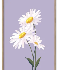 Daisy on Lilac Massiv Eg