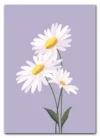 Daisy on Lilac Plakat