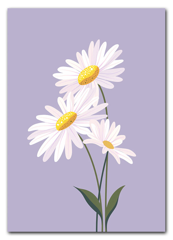 Daisy on Lilac Plakat