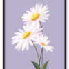Daisy on Lilac Sort