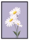 Daisy on Lilac Sort