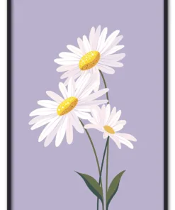 Daisy on Lilac Sort