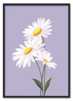 Daisy on Lilac Sort