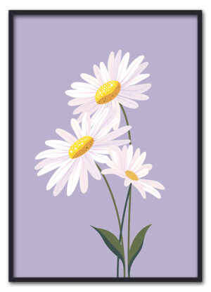 Daisy on Lilac Sort