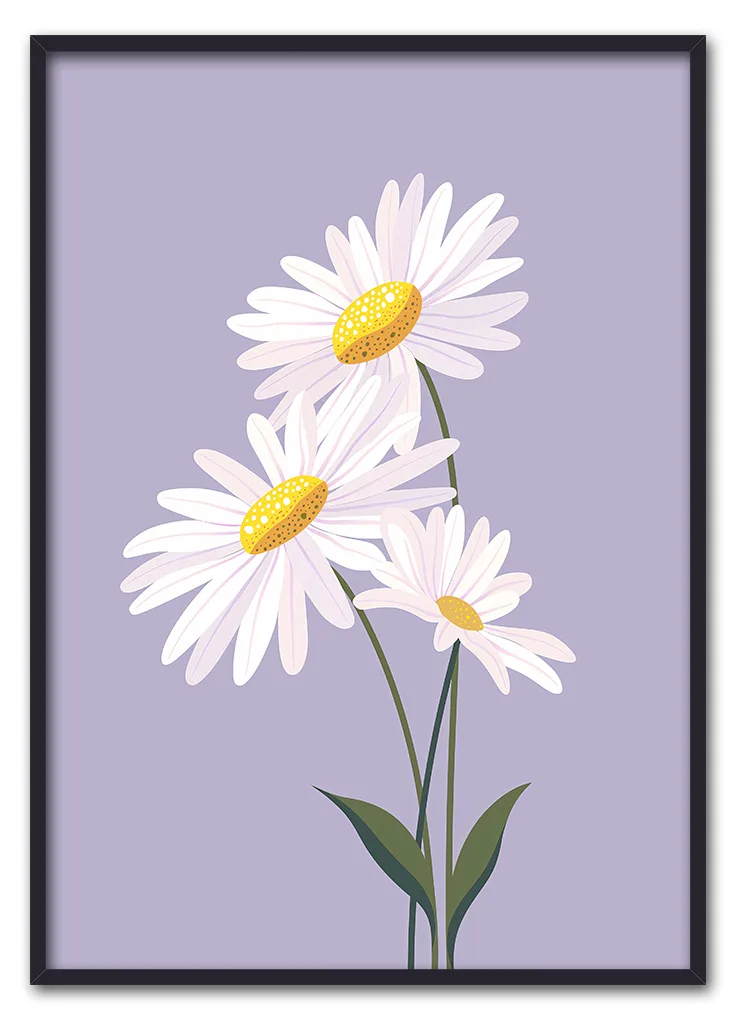 Daisy on Lilac Sort Daisy on Lilac Sort