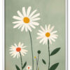Field of Daisies Hvid