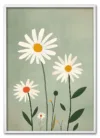 Field of Daisies Hvid